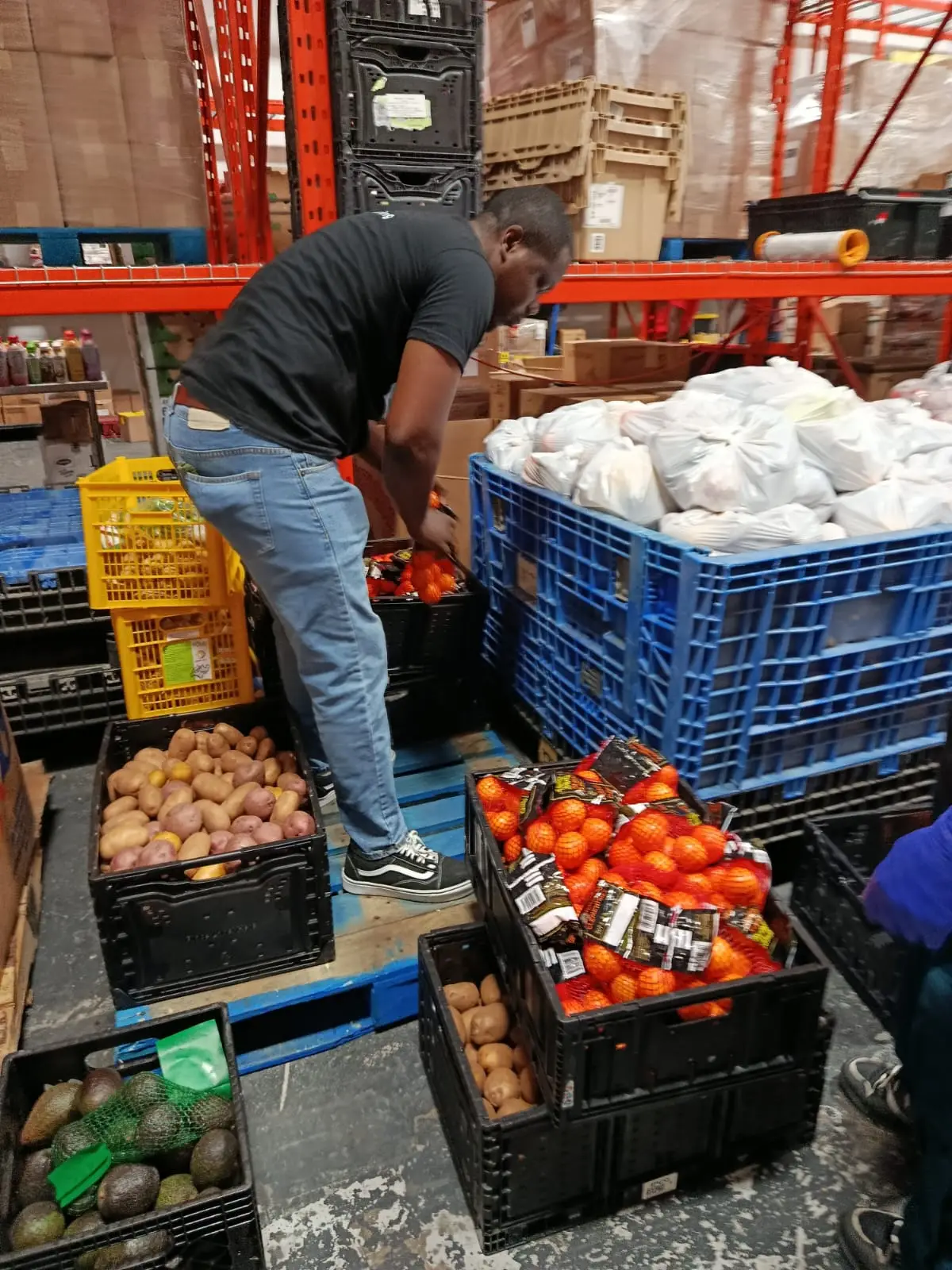 Volunteers —The Heart of BOCS